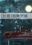 [紅樓]錦鯉賈瑚小說封面