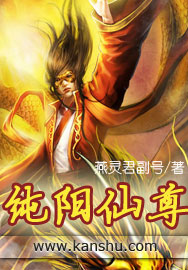 純陽仙尊小說封面