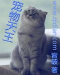 寵物天王漫畫免費下拉式觀看封面