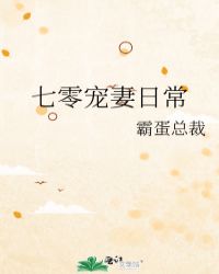 七零宠妻日常小说封面