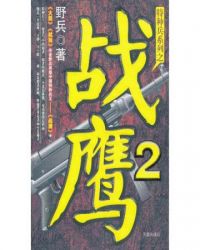 戰鷹2小说封面