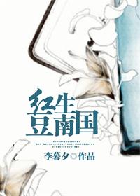 紅豆生南國小說封面